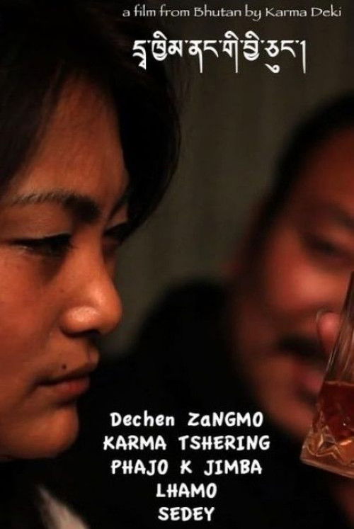 Birds in Cages (2011) poster