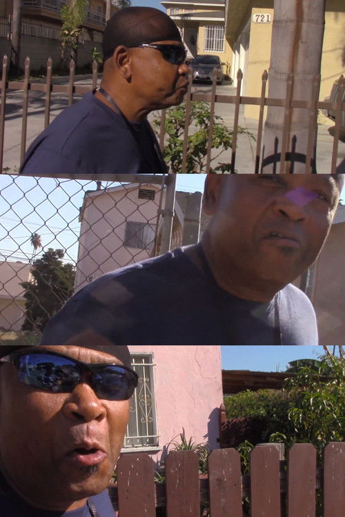 Fast Food Jingles by an Airplane Hijacker (2018) poster