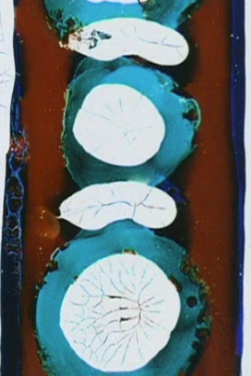 Passage (2000) poster