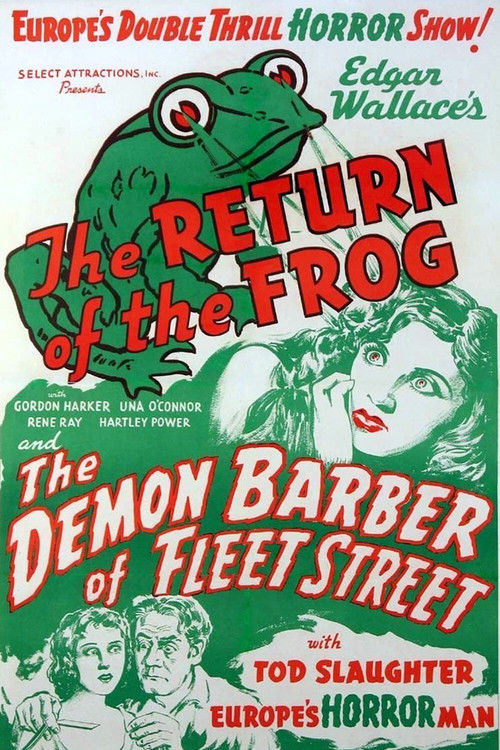 The Return of the Frog (1938) poster