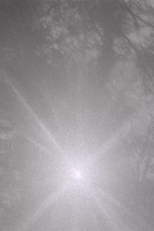 Wherefrom the Shadows That Are Forms Fall (2021) poster