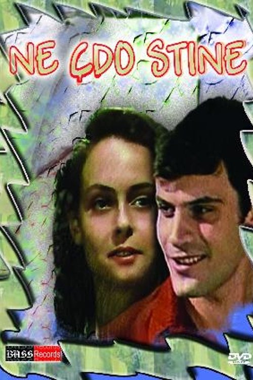 In Every Season (1980) poster