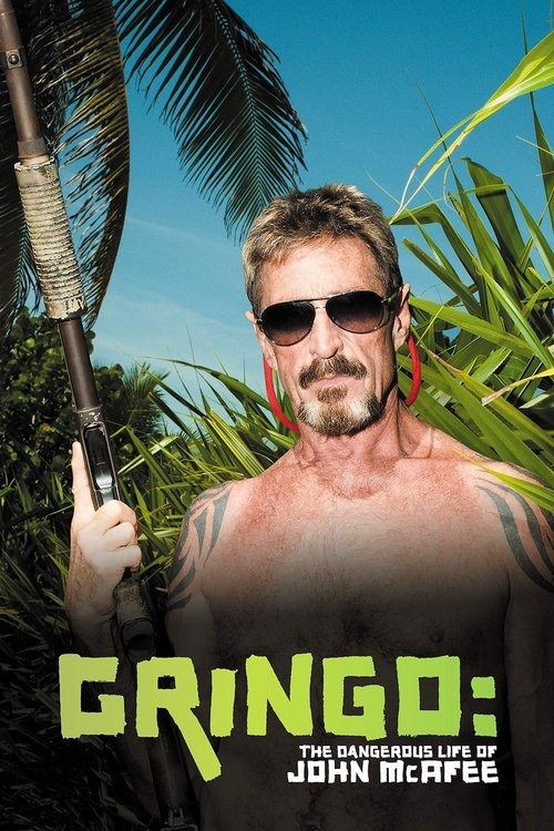 Gringo: The Dangerous Life of John McAfee (2016) poster