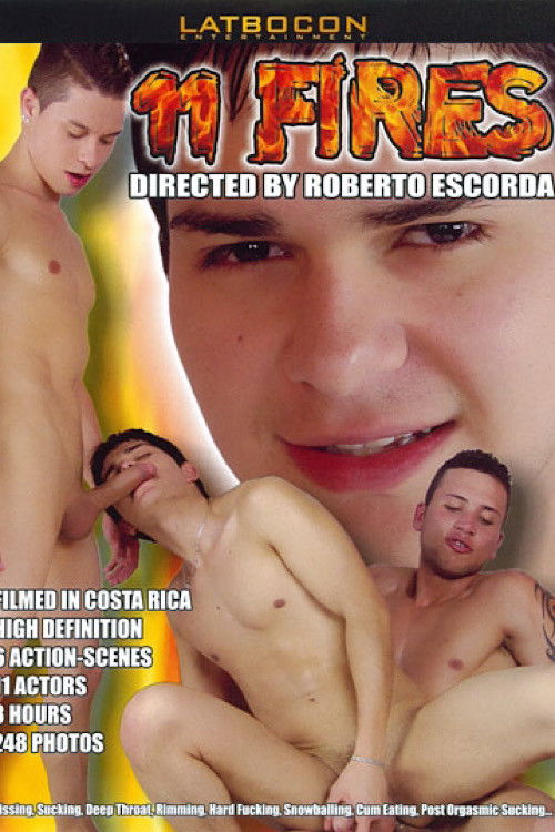 11 Fires (2011) poster