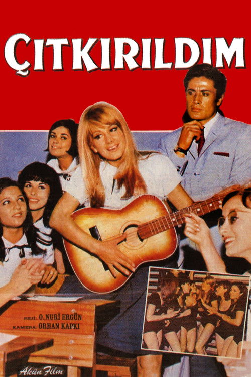 Çıtkırıldım (1966) poster