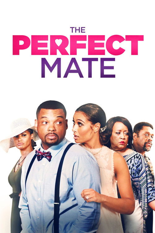 The Perfect Mate (2020) poster