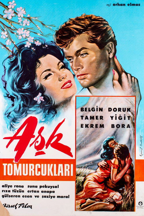 Aşk Tomurcukları (1963) poster