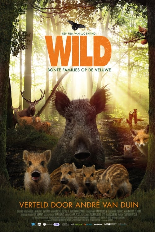 Wild (2018) poster