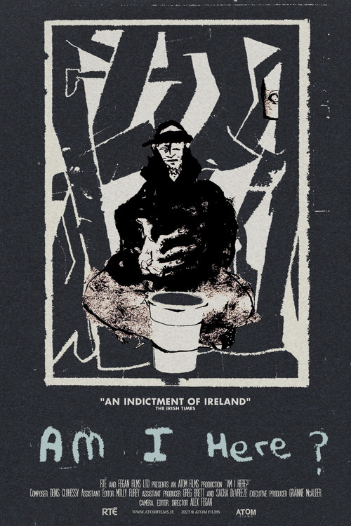 Am I Here? Homeless in Ireland (2023) poster