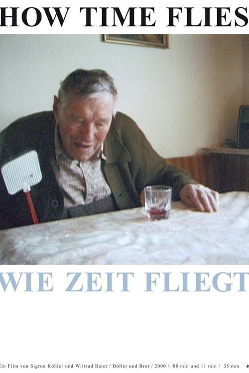 How Time Flies (2000) poster