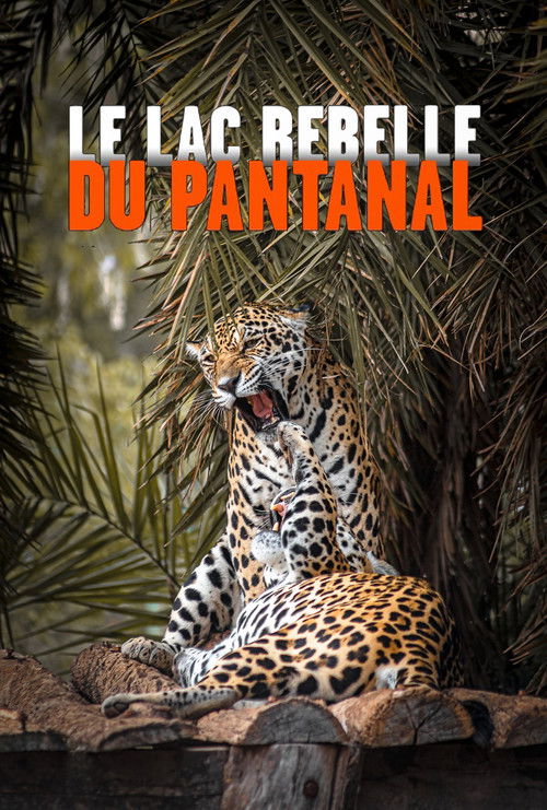 Le lac rebelle du Pantanal (2019) poster