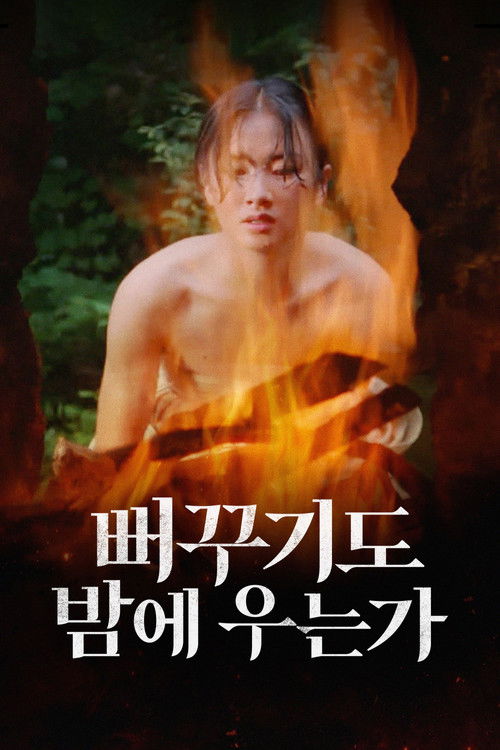 뻐꾸기도 밤에 우는가 (1980) poster