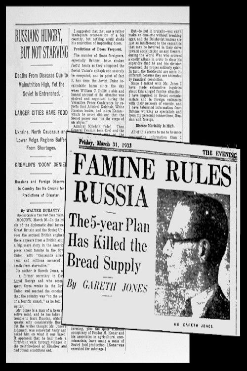 Hitler, Stalin and Mr. Jones (2012) poster