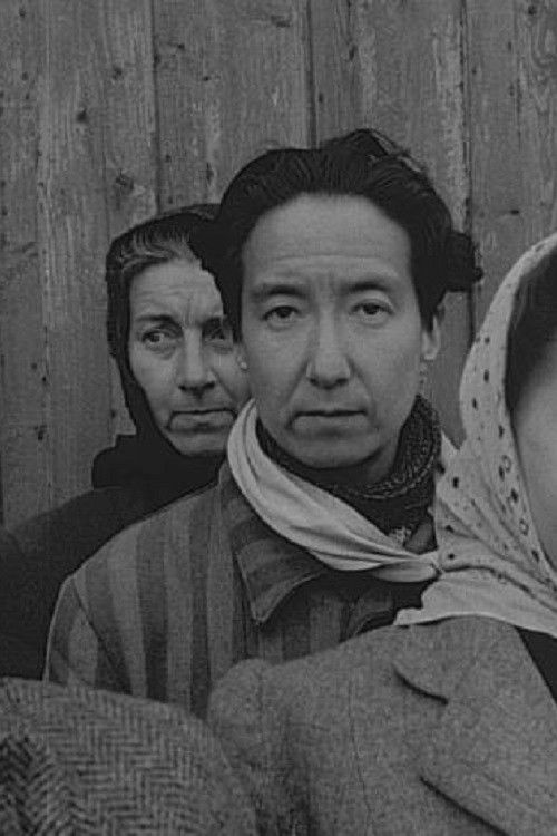 Vittnesbördet (1945) poster