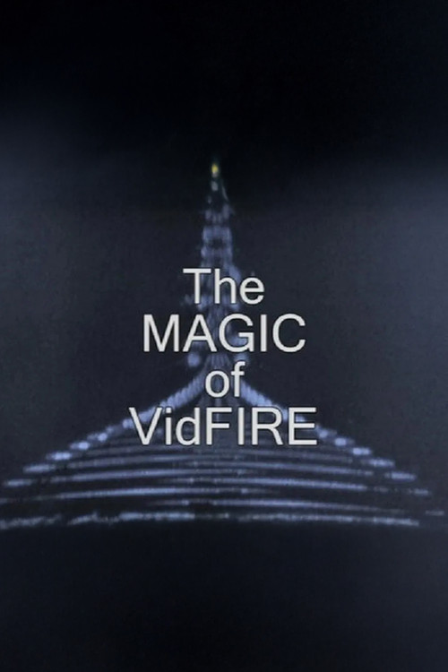 The Magic of VidFIRE (2012) poster