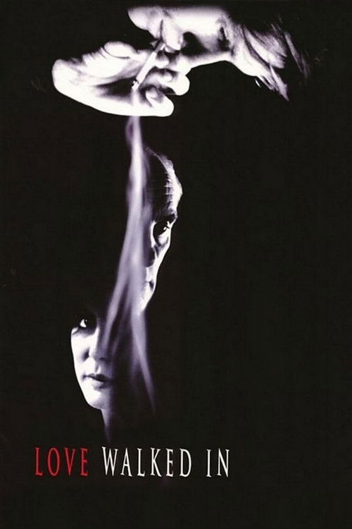 Aşk Kapıyı Çalınca (1997) poster