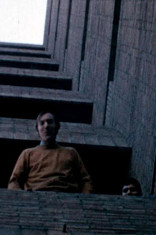 Alucinación arquitectónica (2025) poster