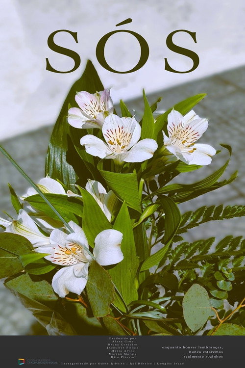 Sós (2025) poster