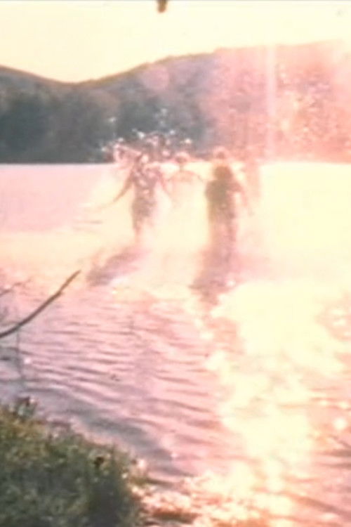 Water Light/Water Needle (Lake Mah Wah, NJ) (1966) poster