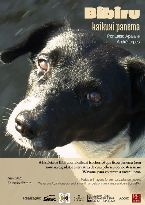 Bibiru: kaikuxi panema (2023) poster