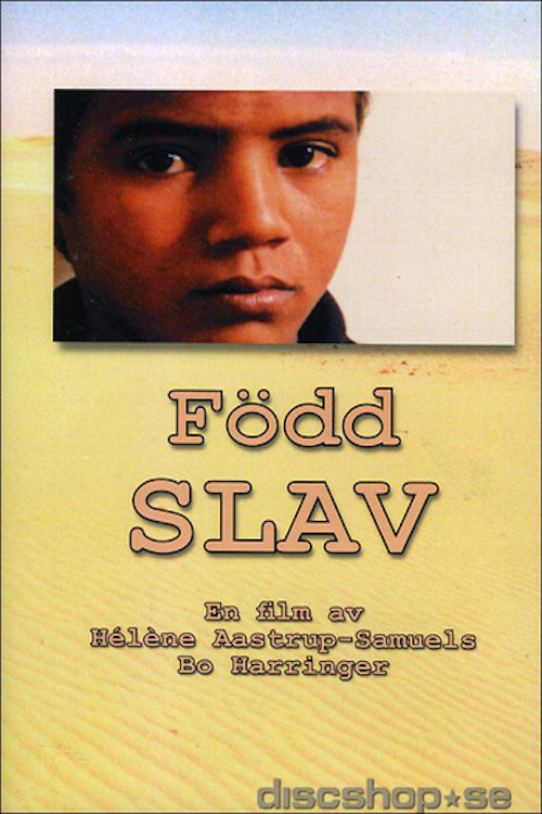 Born Slave (2003) poster