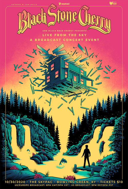 Black Stone Cherry - Live from the Sky (2020) poster