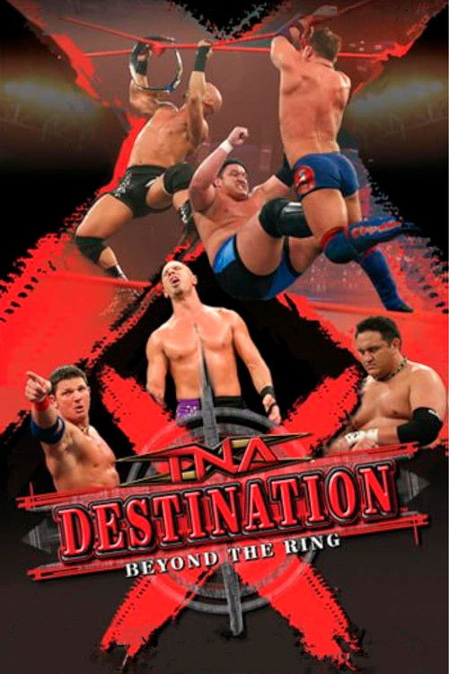 TNA Destination X 2006 (2006) poster