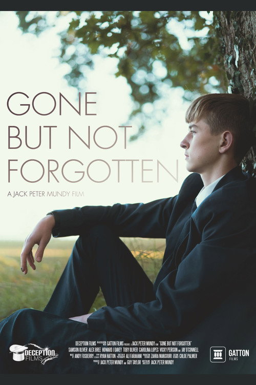 Gone But Not Forgotten (2024) poster