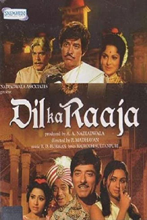Dil Ka Raaja (1972) poster