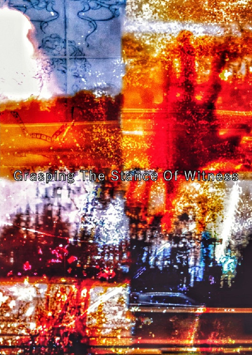 Grasping The Stance Of Witness (2025) poster