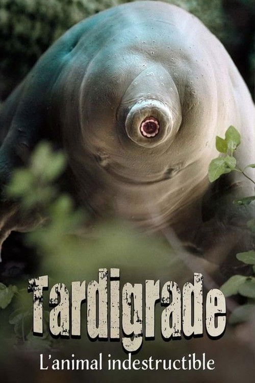 Tardigrade, l'animal indestructible (2025) poster