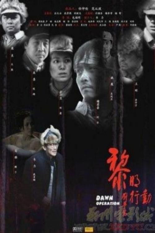 Dawn Operation (2008) poster