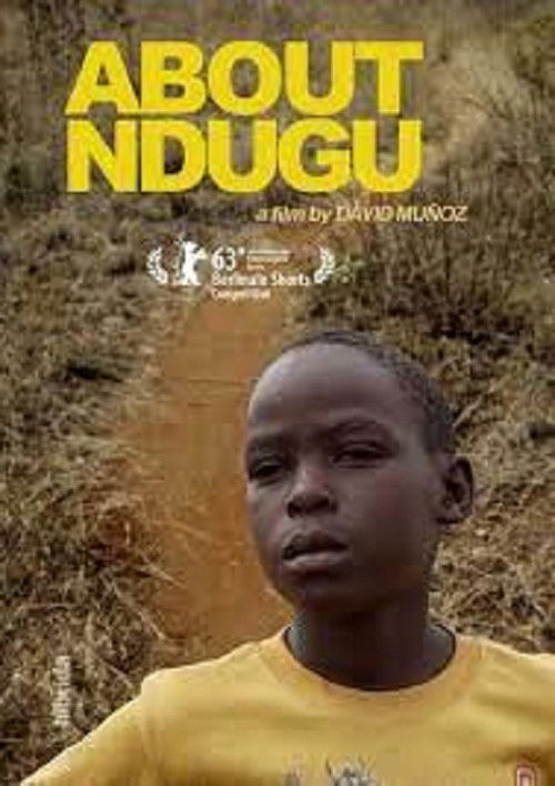 About Ndugu (2013) poster