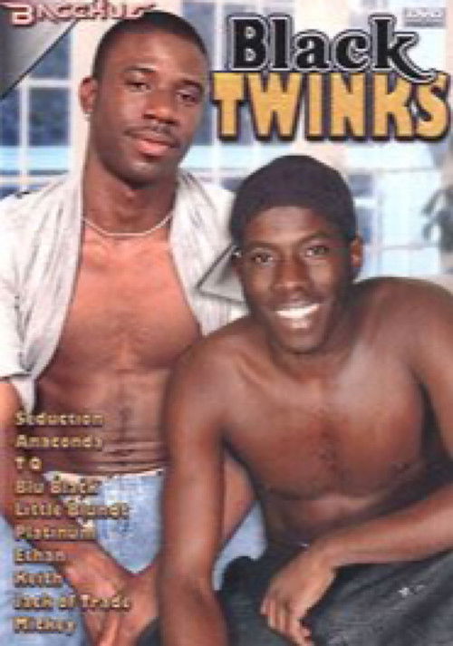 Black Twinks (2006) poster