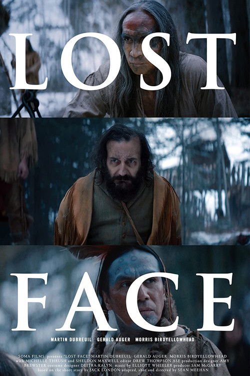 Lost Face (2016) poster