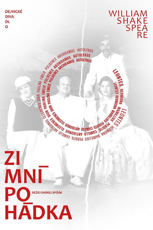 Zimní pohádka (2022) poster