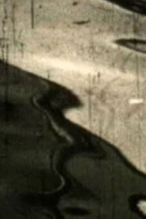 Twist Twist (1962) poster