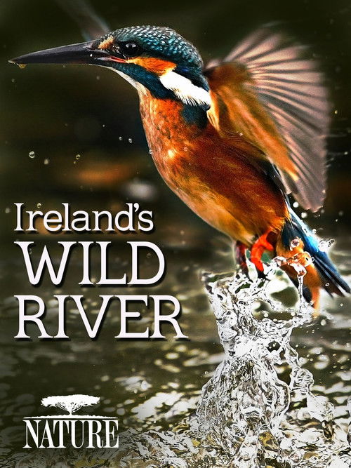 Ireland's Wild River (2014) poster
