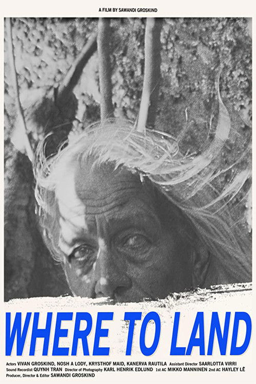 Where to Land (2020) poster