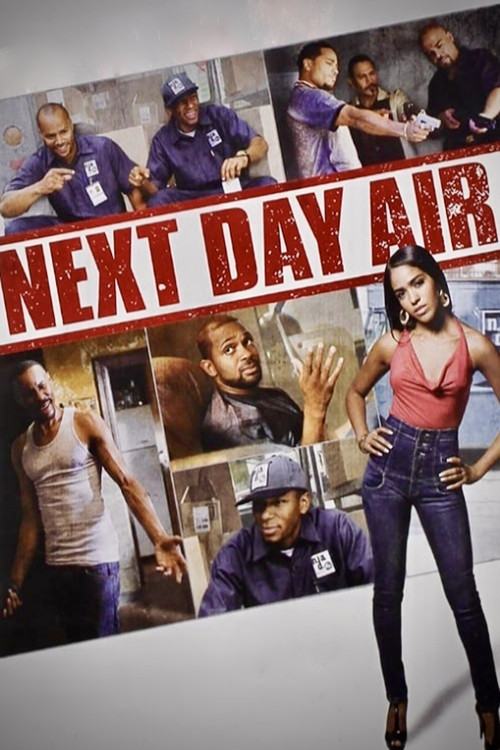 Next Day Air (2009) poster