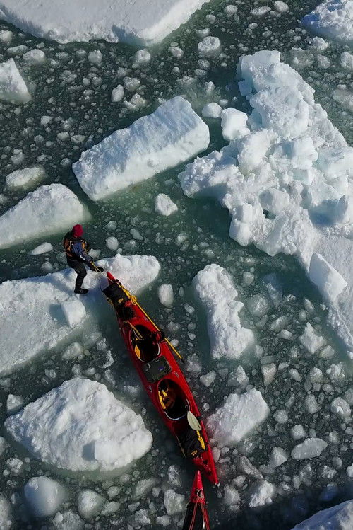 Albedo (2021) poster