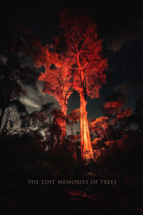 The Lost Memories Of Trees (2023) poster