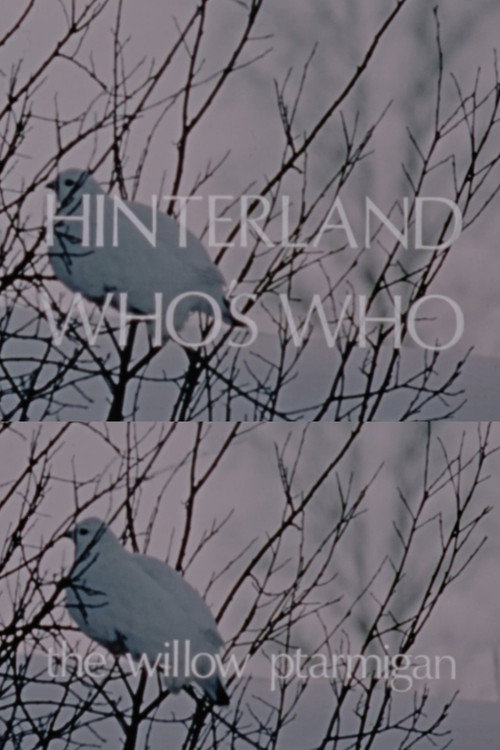 Hinterland Who's Who: The Willow Ptarmigan (1973) poster