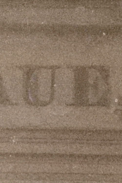 Paulinenaue (2025) poster