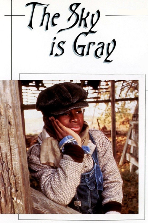 The Sky Is Gray (1980) poster