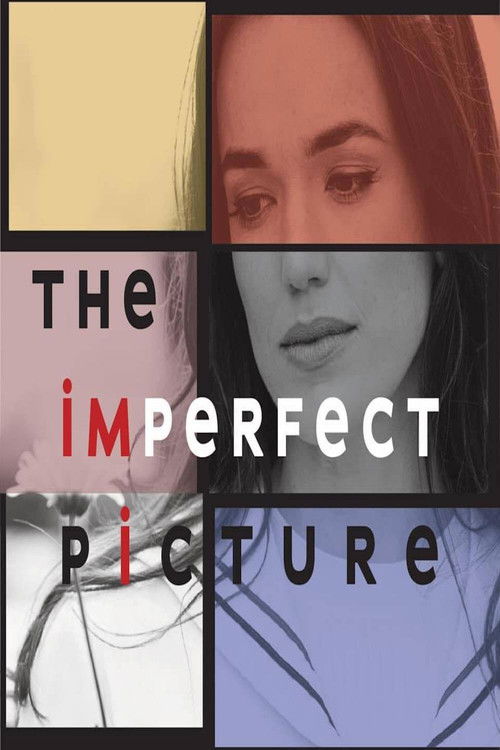 The Imperfect Picture (2021) poster