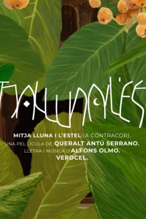 Mitja lluna i l’estel poster