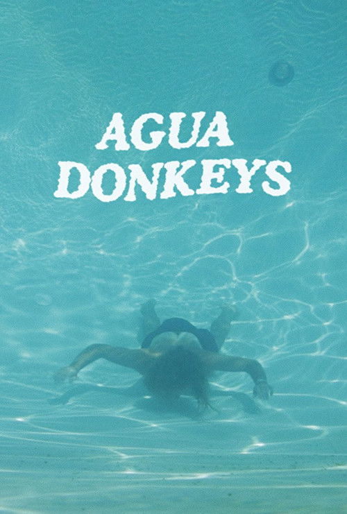 Agua Donkeys (2018) poster