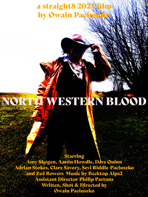 North Western Blood (2024) poster