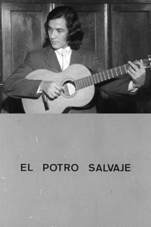 El potro salvaje (1971) poster